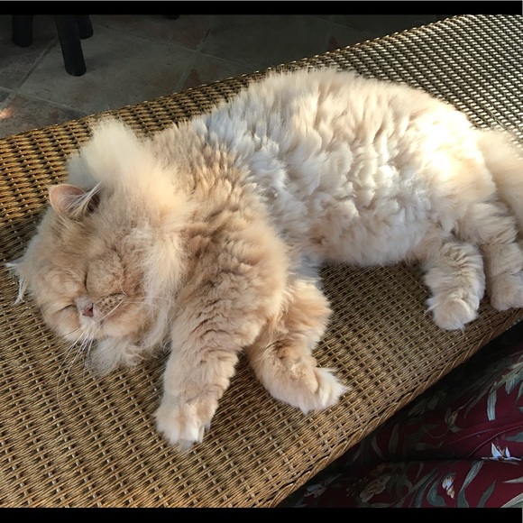 Meet your Posher, Louise - Picture 5 of 10